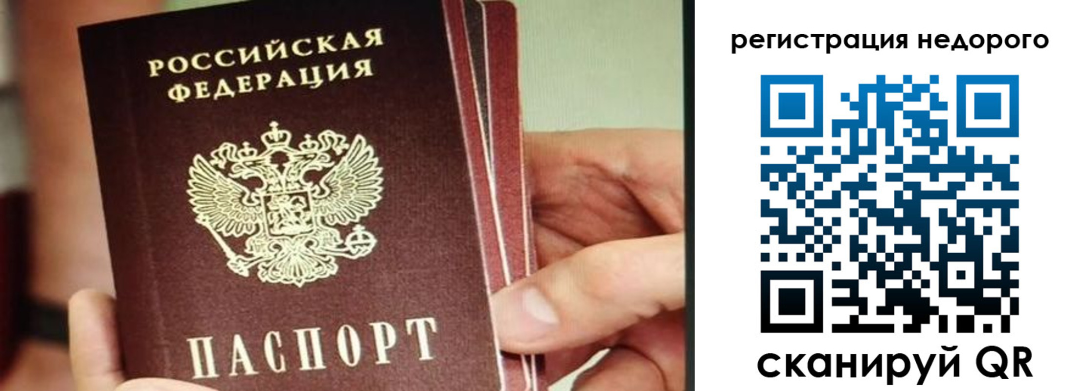 прописка в квартире в Светлограде